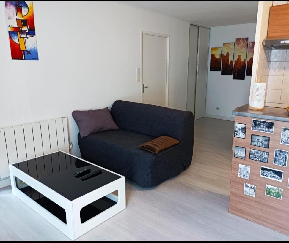 Ravissant Appartement T2 Proche Autoroute Et Centre-Ville Villefranche-sur-Saône Exterior foto